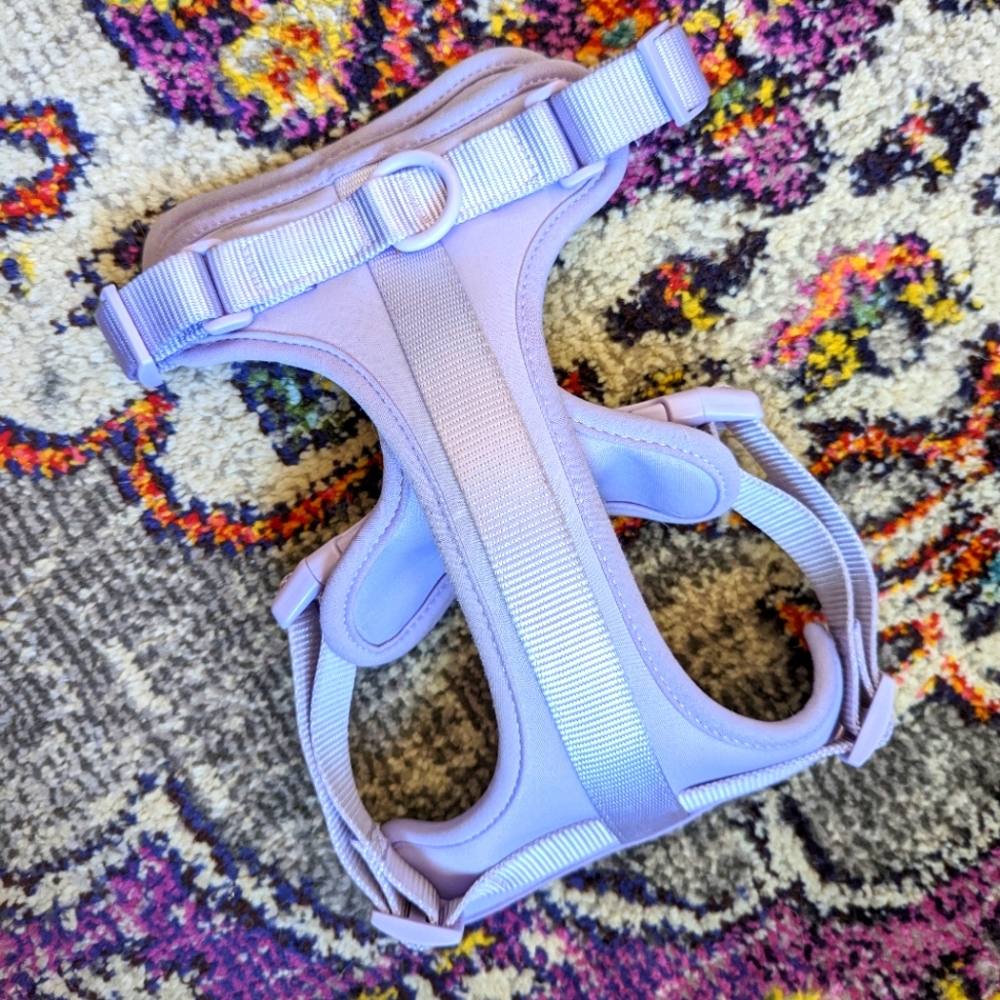 Wild One Purple Medium Dog Harness